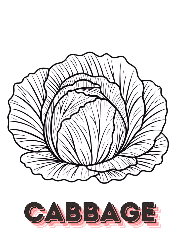 PRINTABLE COLORING BOOK OF VARIOUS VEGETABLES (50 PAGE) product image (2)