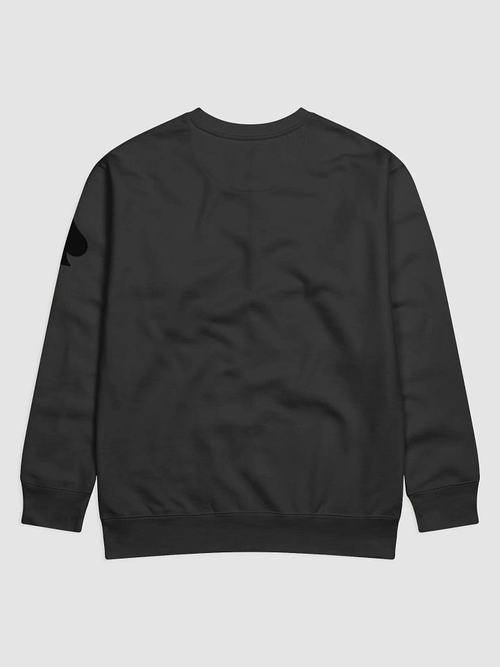 Ace Jumper product image (2)
