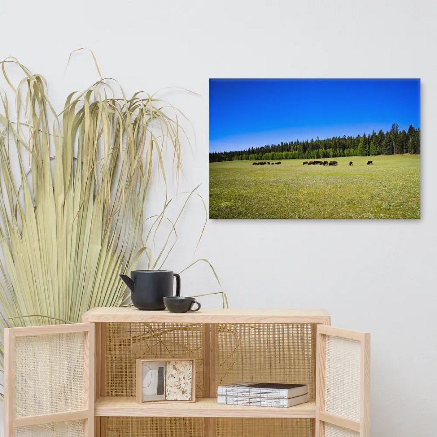 Grand Canyon Buffalo Graze product image (9)