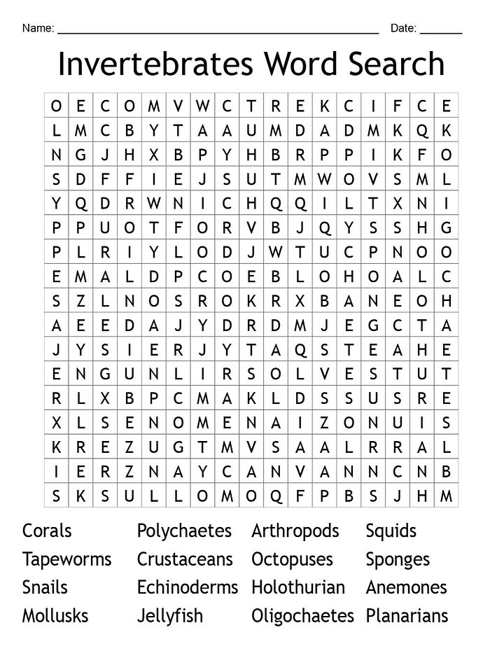 Invertebrate Word Search: 16 Creatures to Find! product image (1)