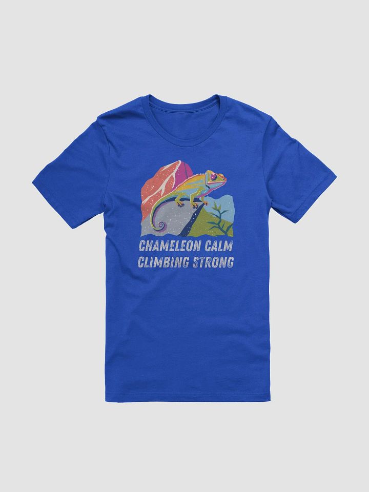 Chameleon Calm - Climbing T-Shirt product image (49)