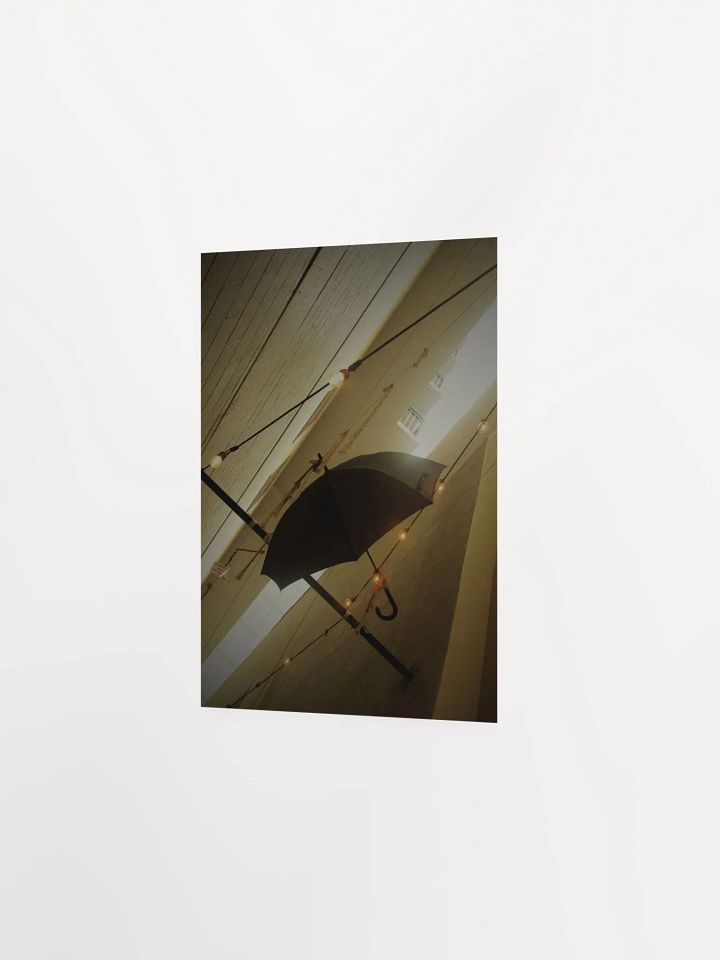 Hanging Umbrella 6 product image (25)