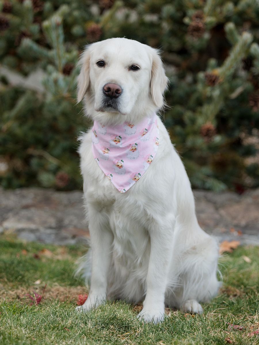 Pink Santas Bandana product image (1)