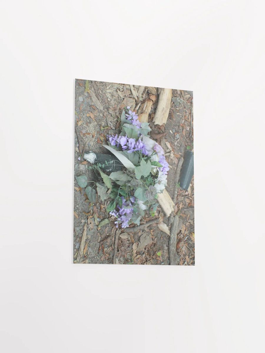 The Cockroach Named Hope product image (28)