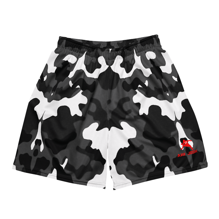 AIR JOSH ASPHALT Mesh Shorts product image (2)