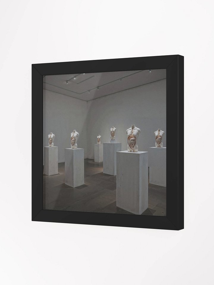 Anatomy of Silence Framed Print product image (6)