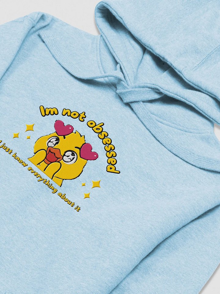 Embroided Obsession Confession Hoodie (Large Logo) product image (23)