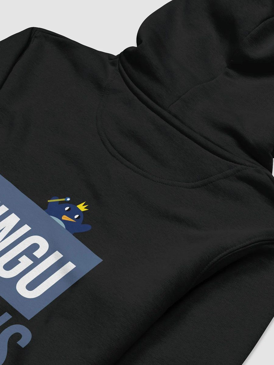 Kingu Hoodie product image (8)