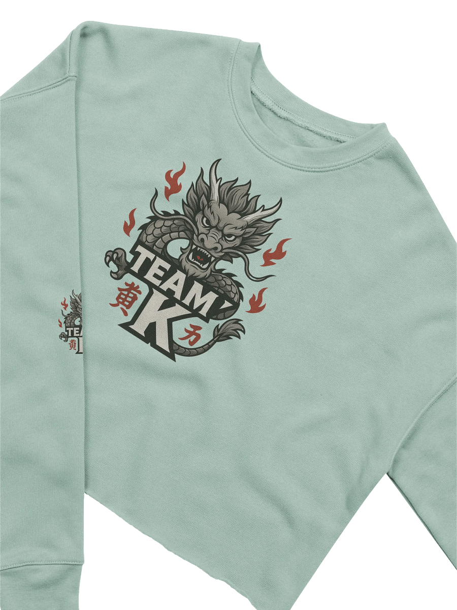 Team K China Crop Sweatshirt product image (8)