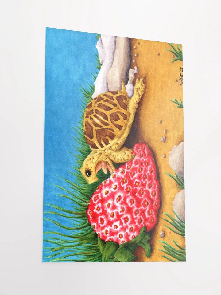 Turtle Berry product image (4)
