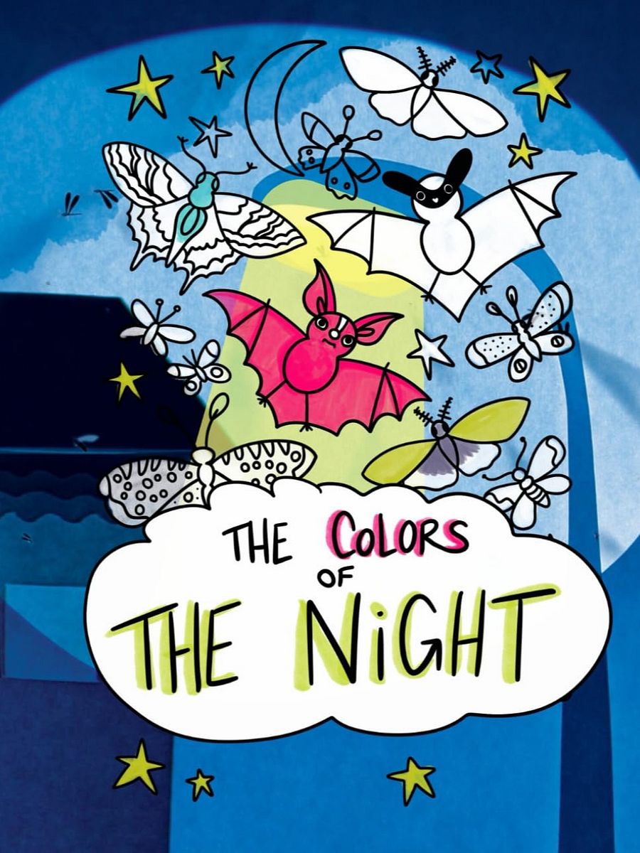 coloriage de la nuit product image (1)
