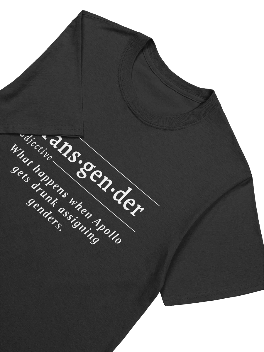 Transgender Def Unisex Tee v1 product image (2)