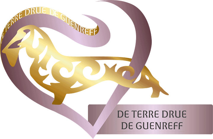 Conception de logo sur mesure product image (2)