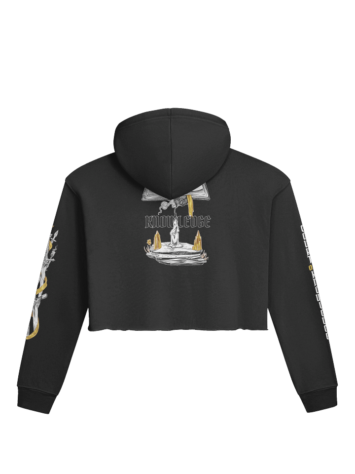 809 Rise of the Courts - Knowledge Crop Hoodie product image (2)