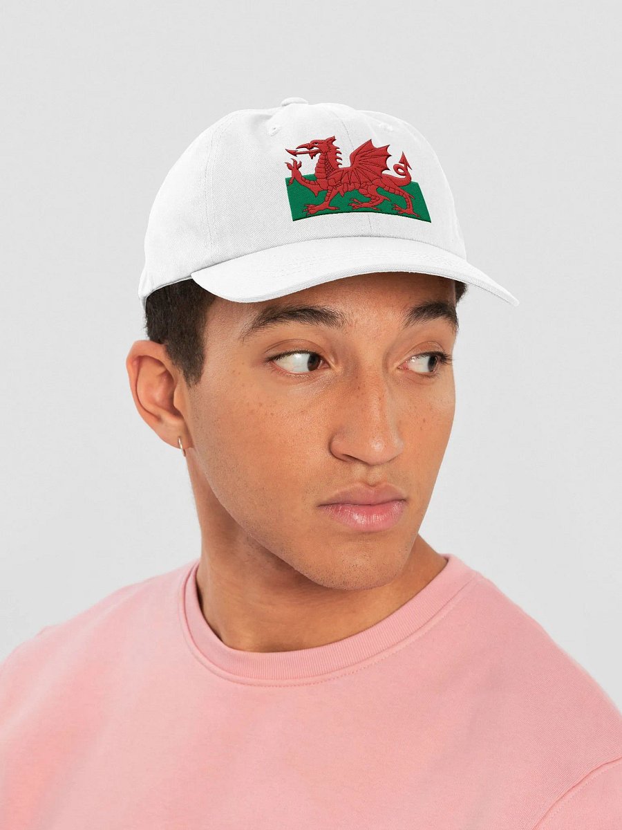 Welsh Flag Cap product image (3)