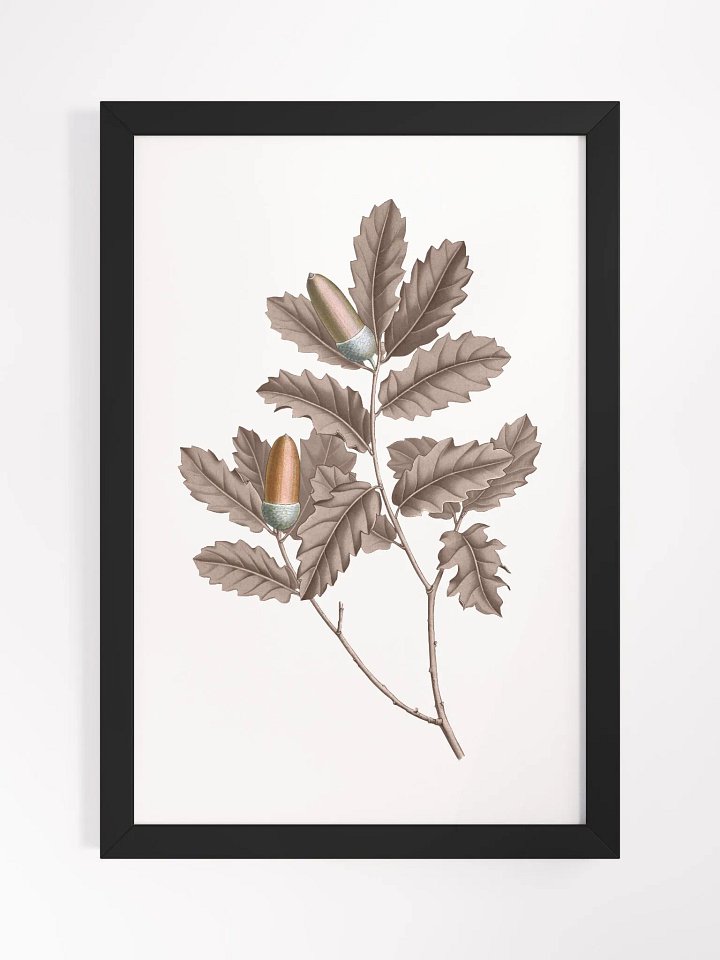 Ecotone Oak Leaves and Acorns Framed Print product image (1)