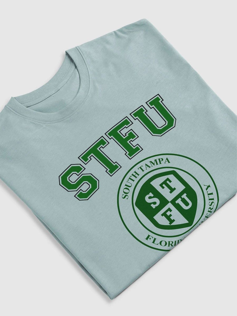 STFU Men's Premium Heavyweight Tee / Light Colors product image (5)