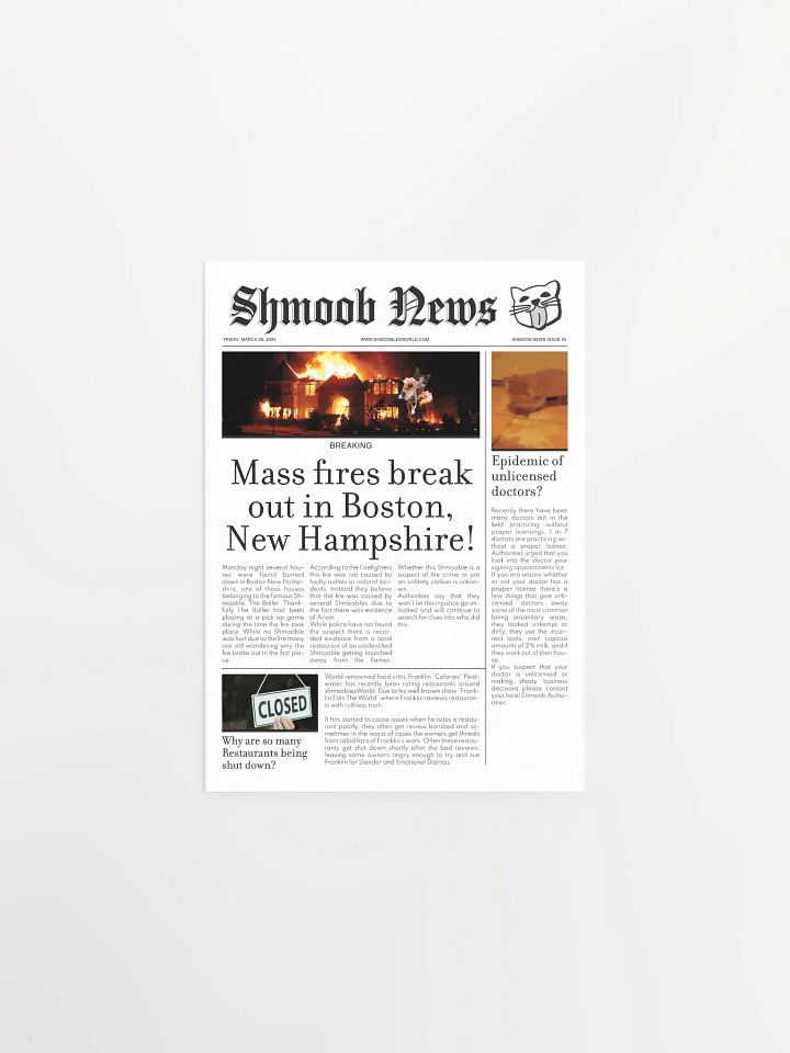 Shmoob News Issue #2 product image (3)
