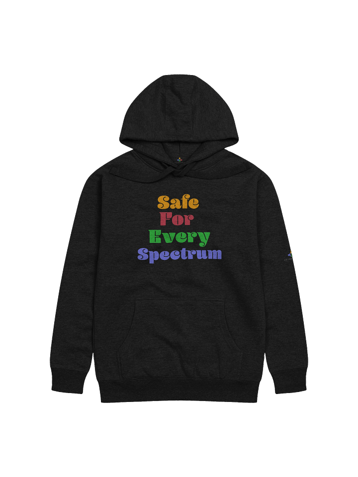 Safe for Every Spectrum Hoodie product image (1)