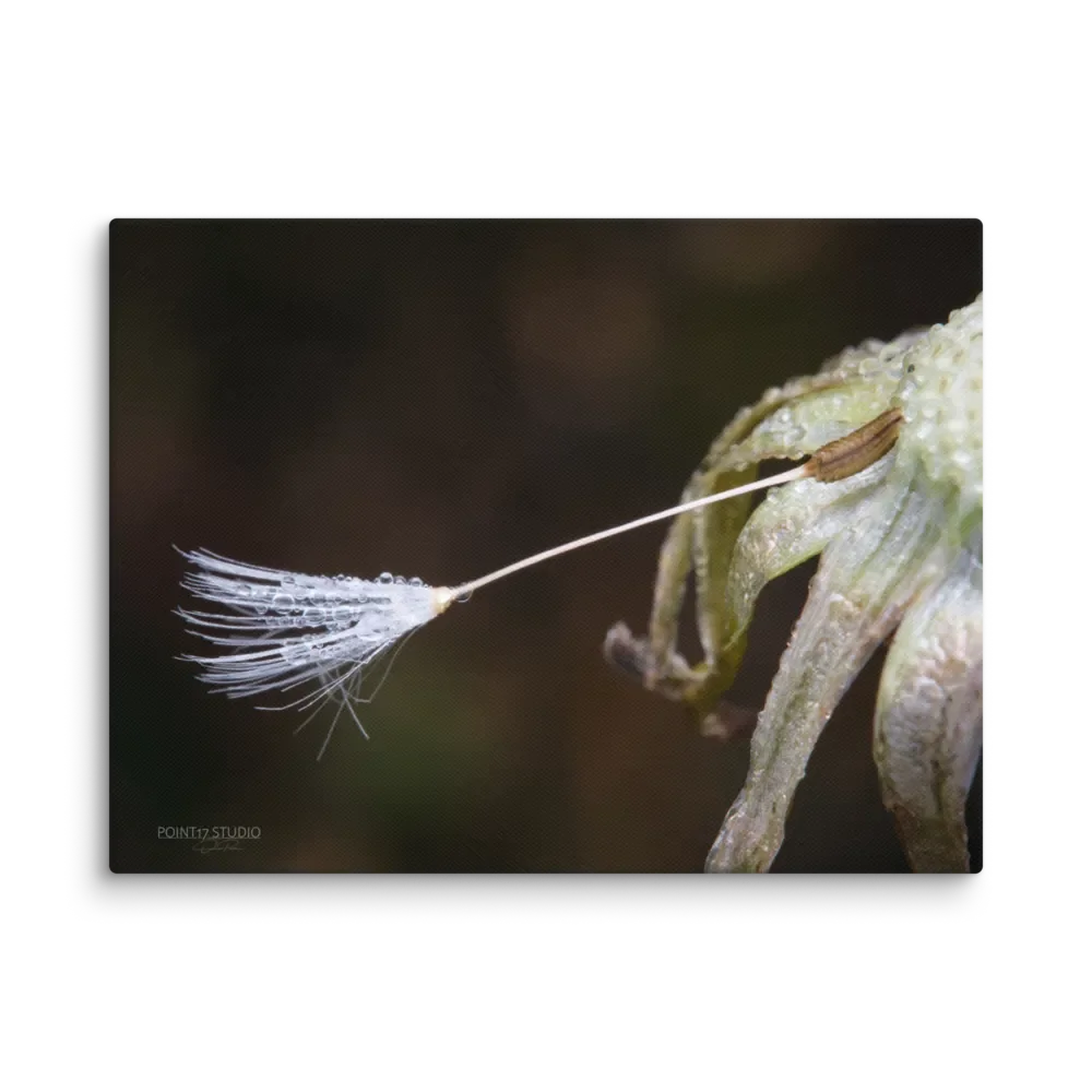 One Last Wish - Print On Canvas product image (1)