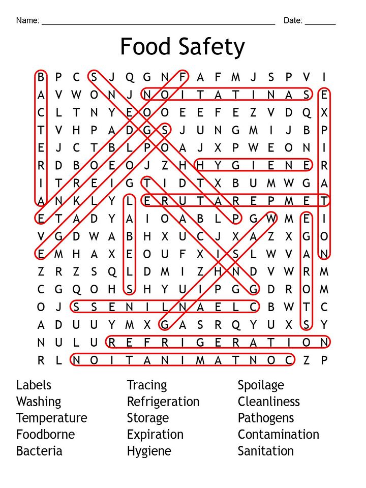 Printable Food Safety Word Search – 15 Key Terms! product image (2)
