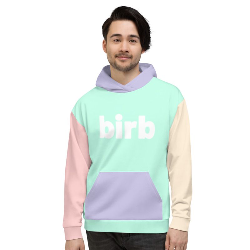 birb pastel hoodie product image (3)