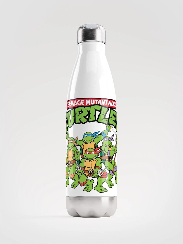 TMNT Stainless Steel Water Bottle product image (1)