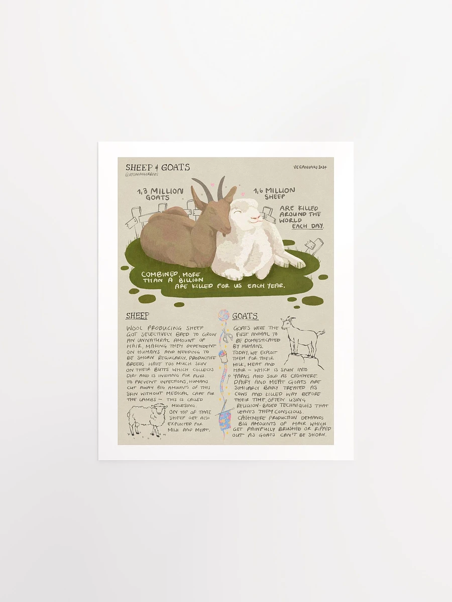 Sheep & Goats Educational Print – Veganuary 2024 product image (2)
