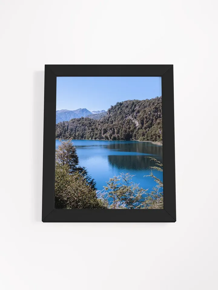 Patagonia - Framed High-Quality Matte Poster product image (1)
