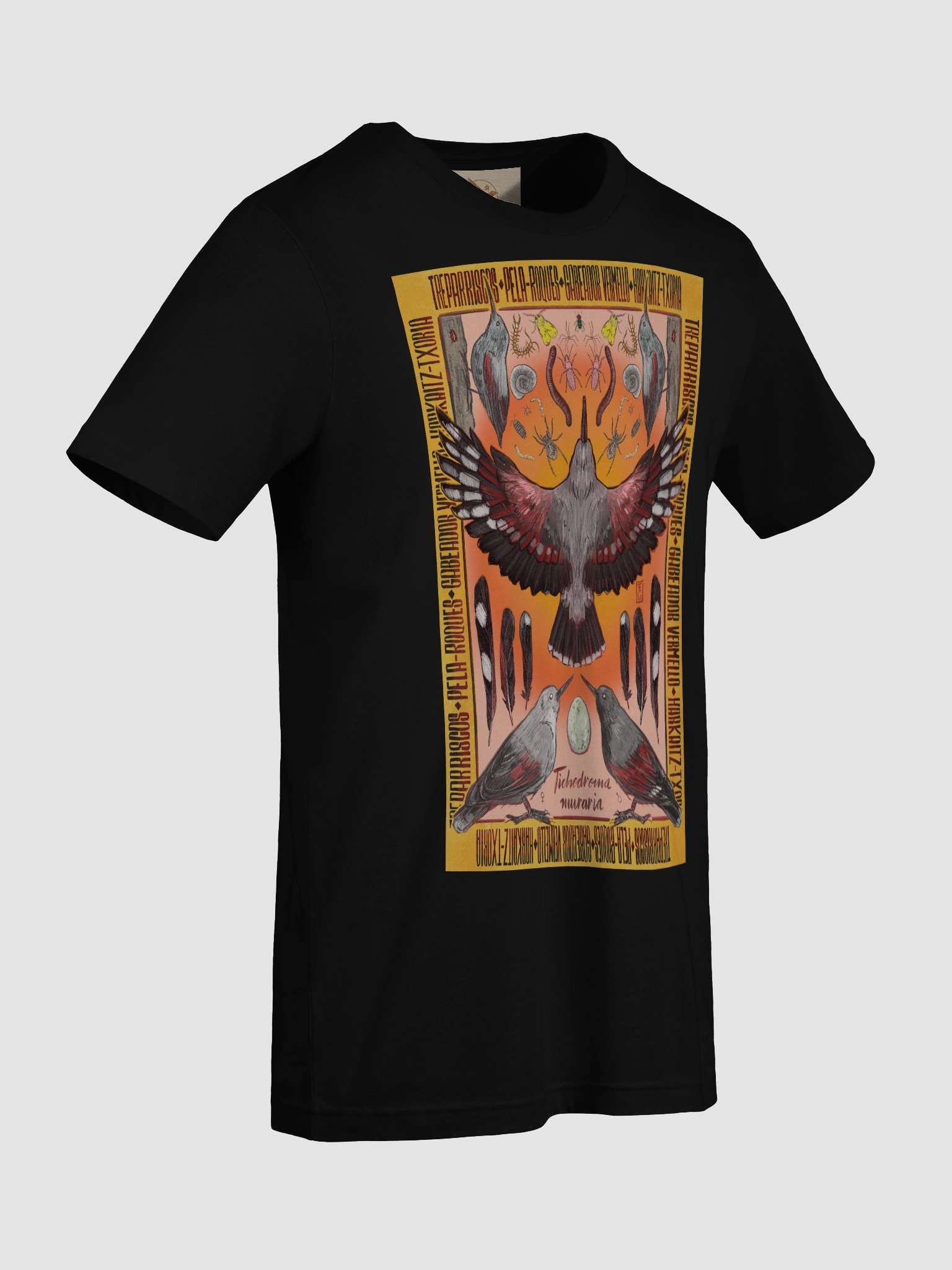 Treparriscos - Wallcreeper product image (9)