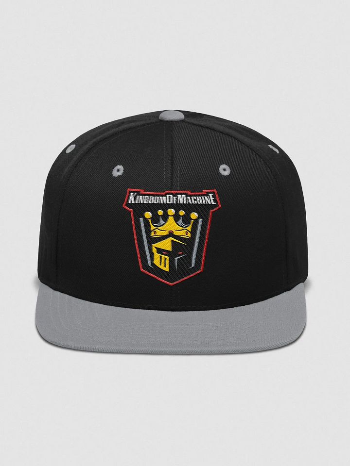 E-Sport embroider snap back product image (22)