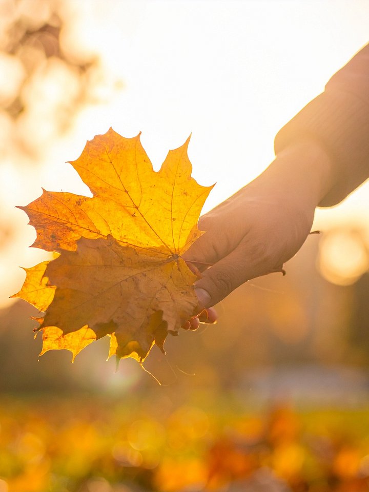 Falling Into You product image (1)