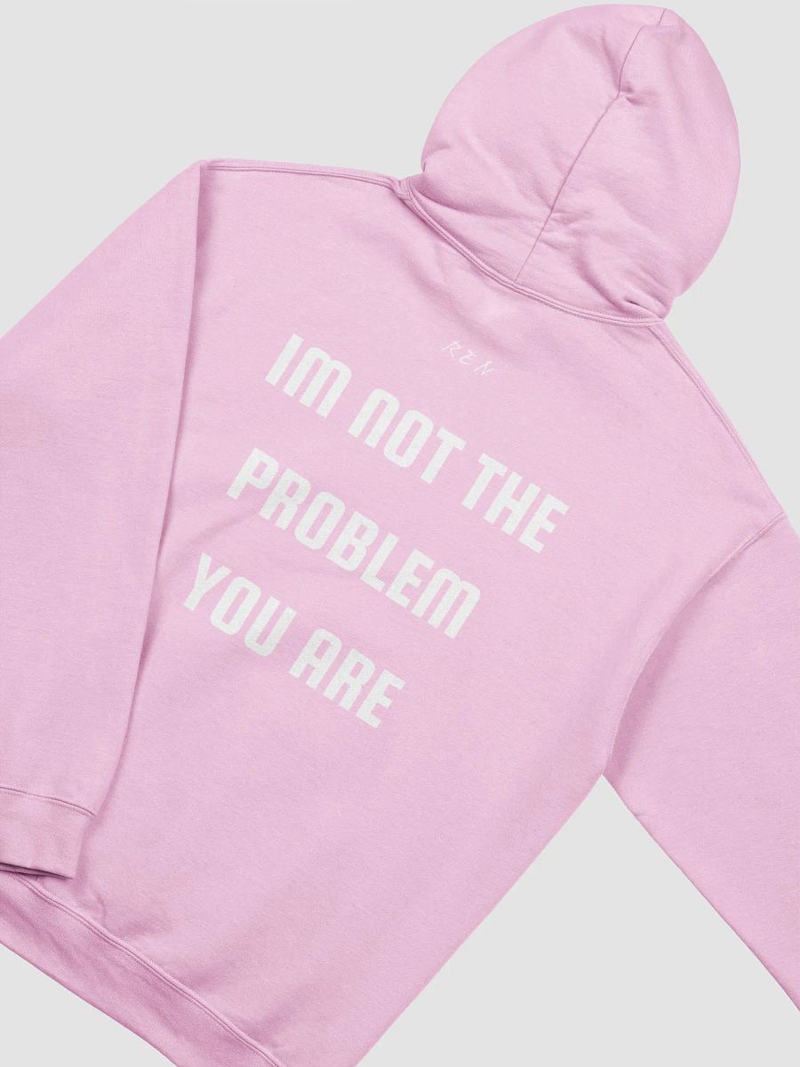 not the problem hoodie product image (4)
