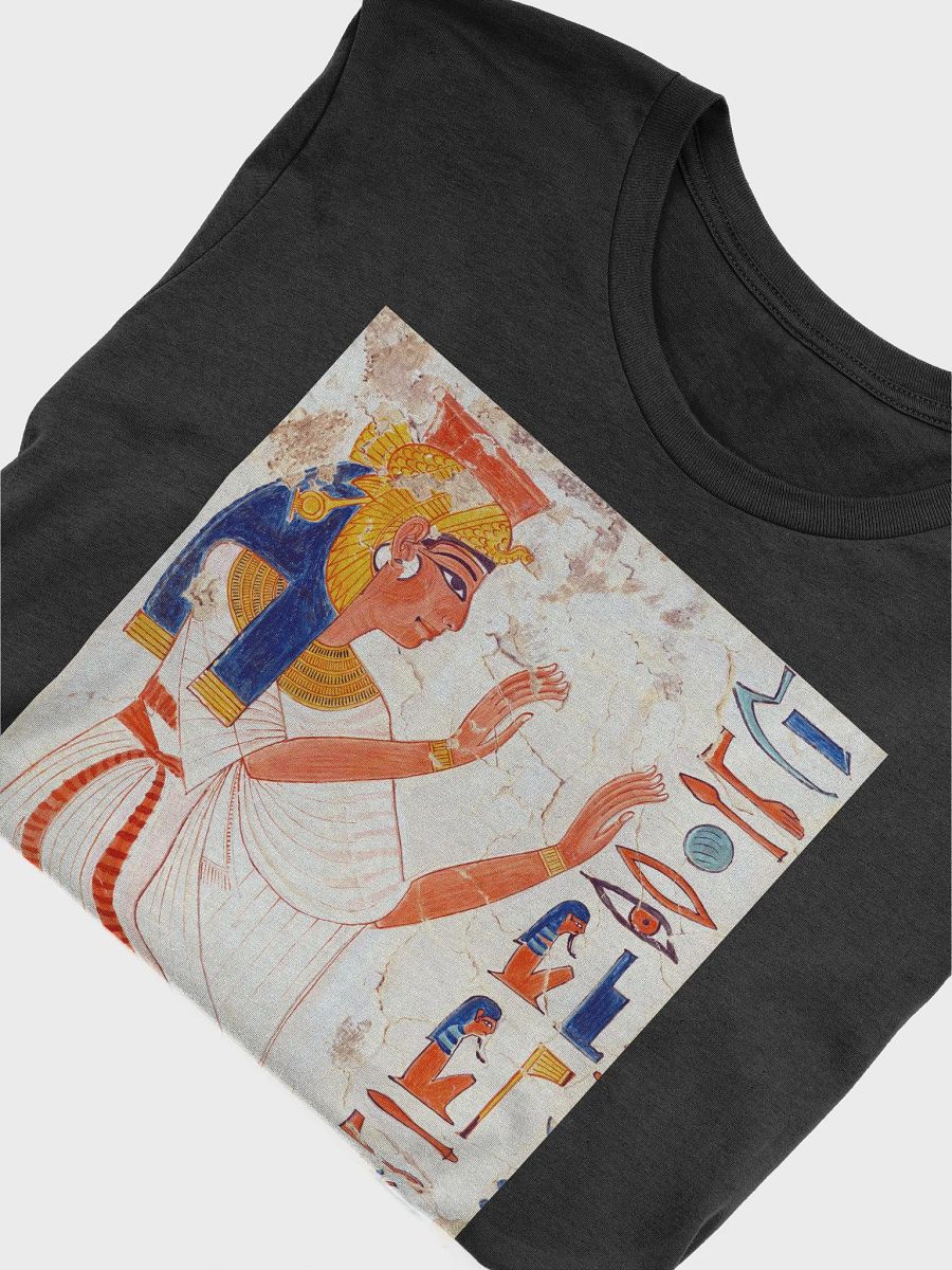 Queen Nefertari Kneeling in Adoration Ancient Egypt Art Unisex T-Shirt product image (5)