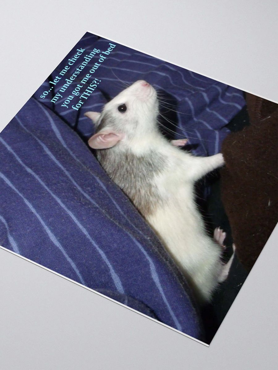 Annoyed husky rat sticker product image (8)