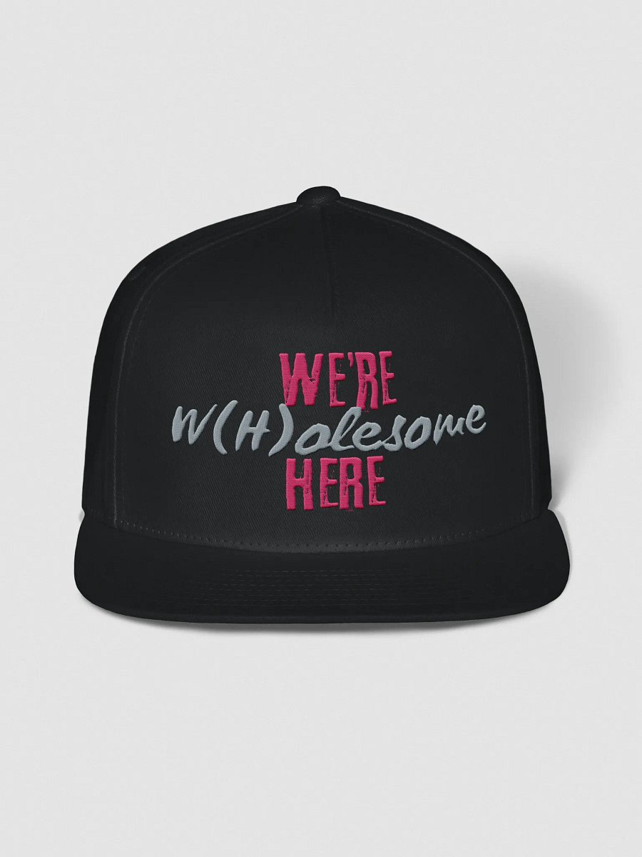 Wholesome hat product image (1)