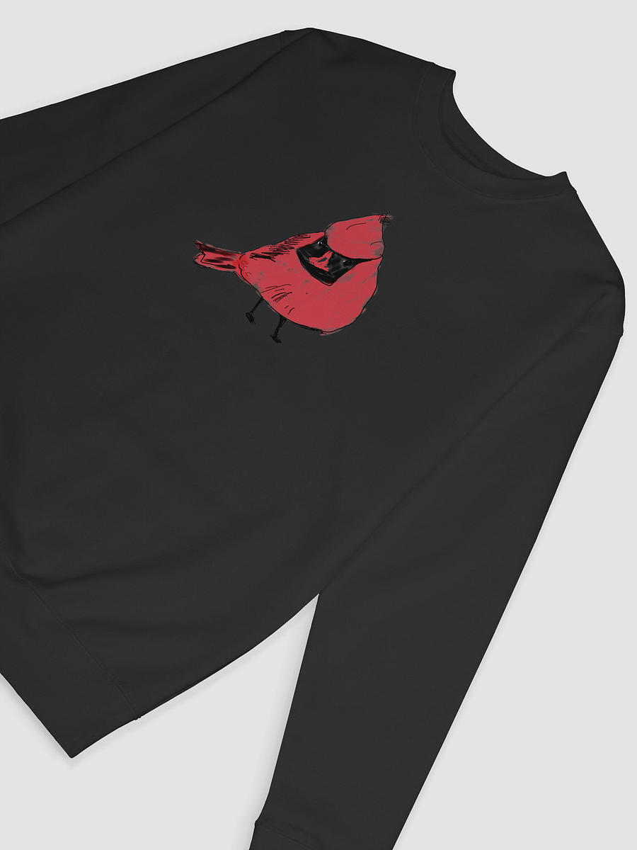 Shirley's Cardinal Sweatshirt product image (39)