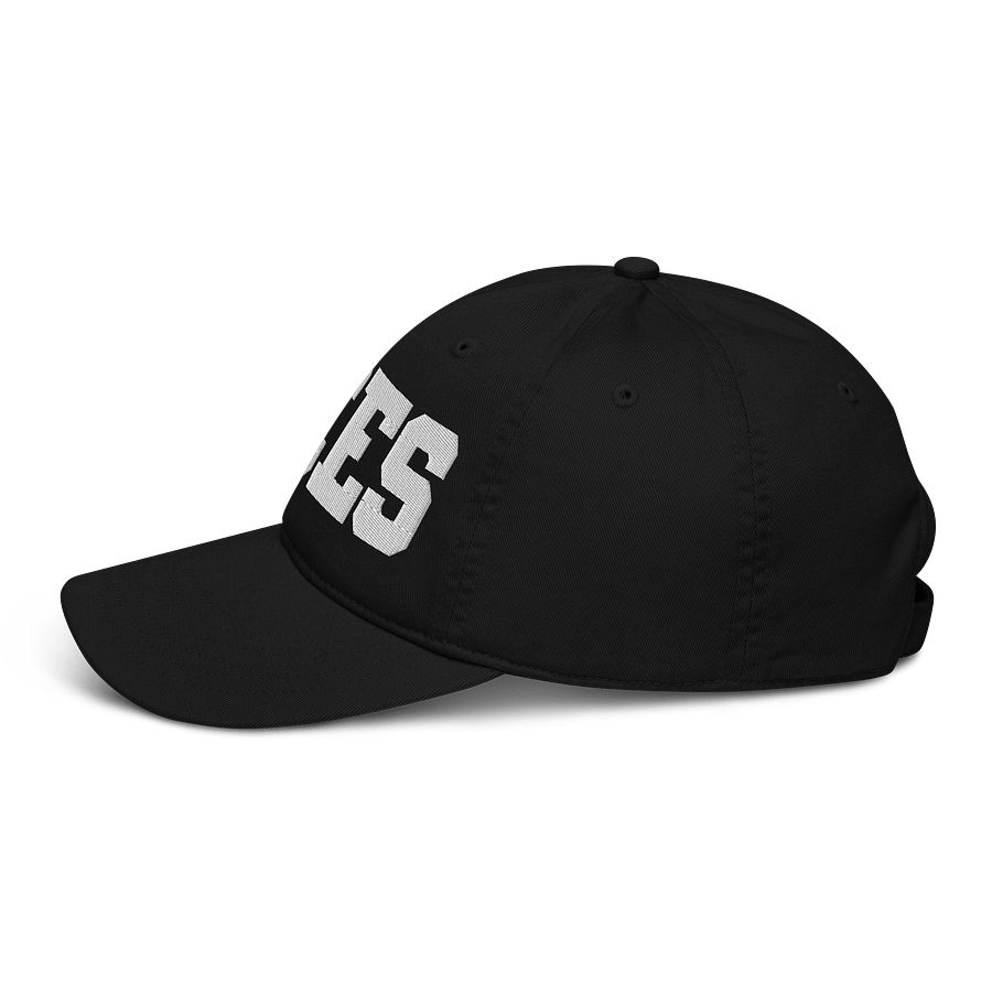 Aces Organic Dad Hat by Econscious product image (3)