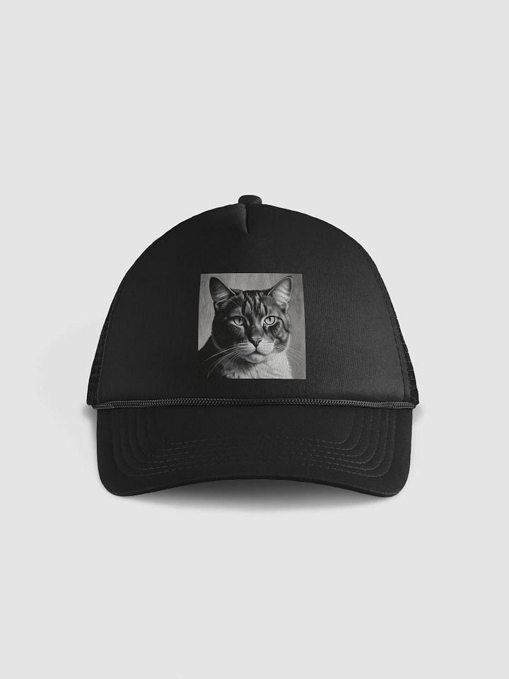 Cat product image (1)