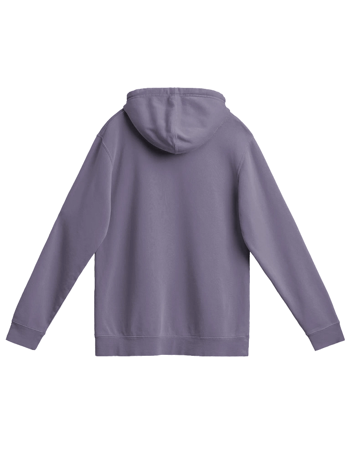 Game Dude COLOR Pigmented Hoodie product image (2)