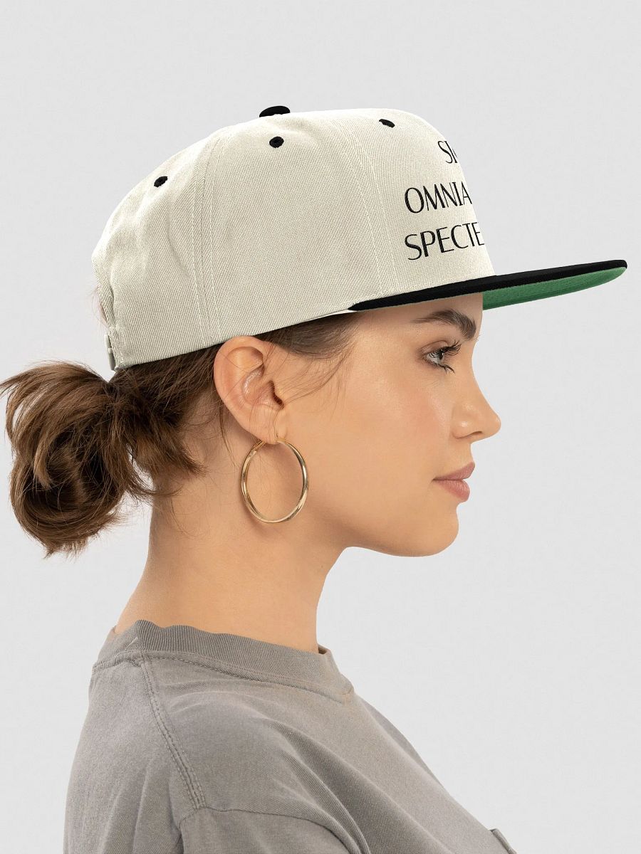 SOTSFE DARK (Yupoong Wool Blend Snapback Cap) product image (1)