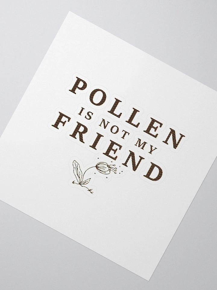 Seasonal Allergies: Pollen is not my Friend product image (7)