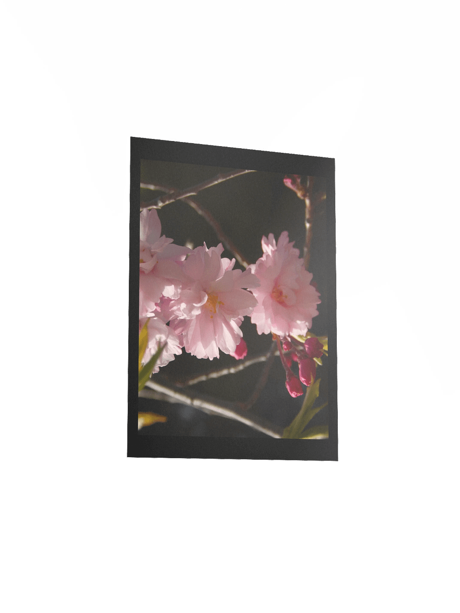 Pink Flowers product image (3)