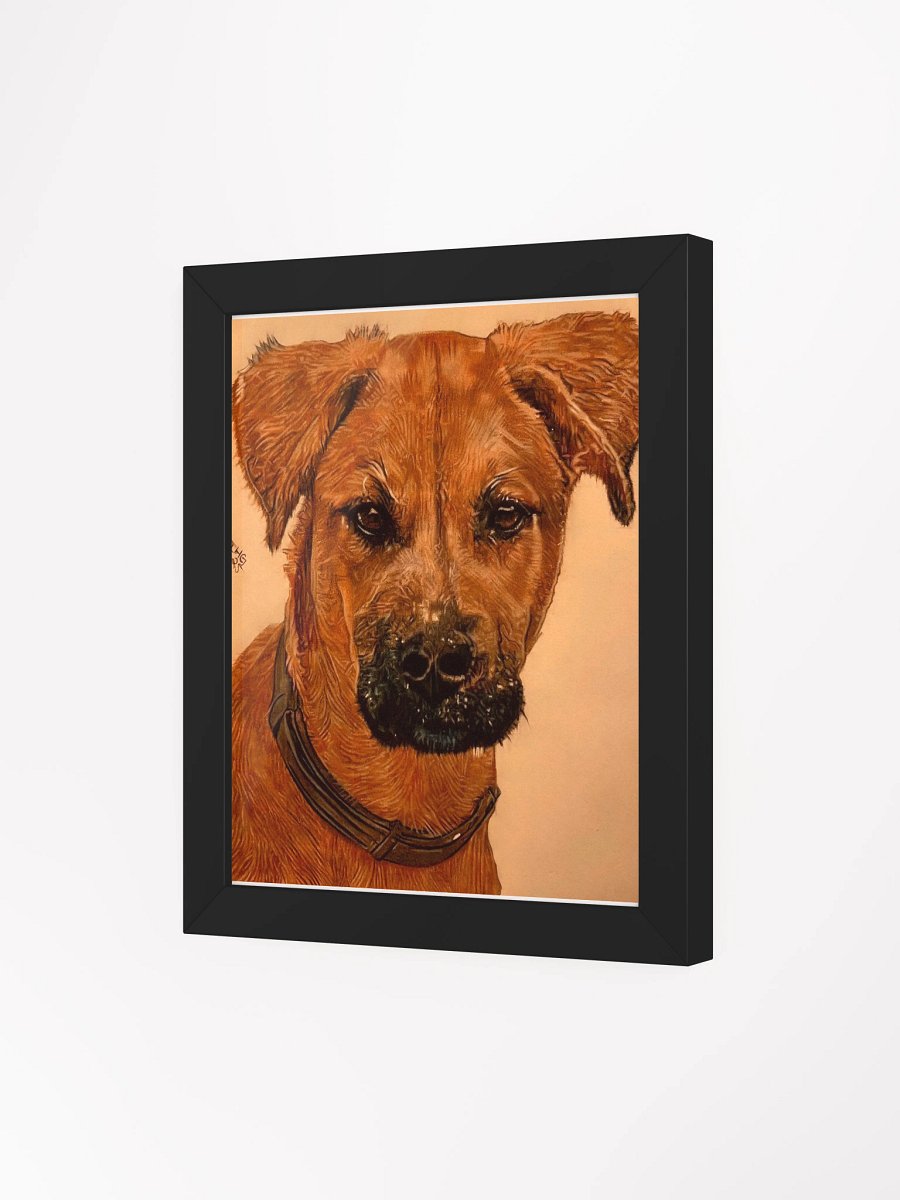 Black Mouth Cur Dog Colored Pencil Drawing Framed product image (3)