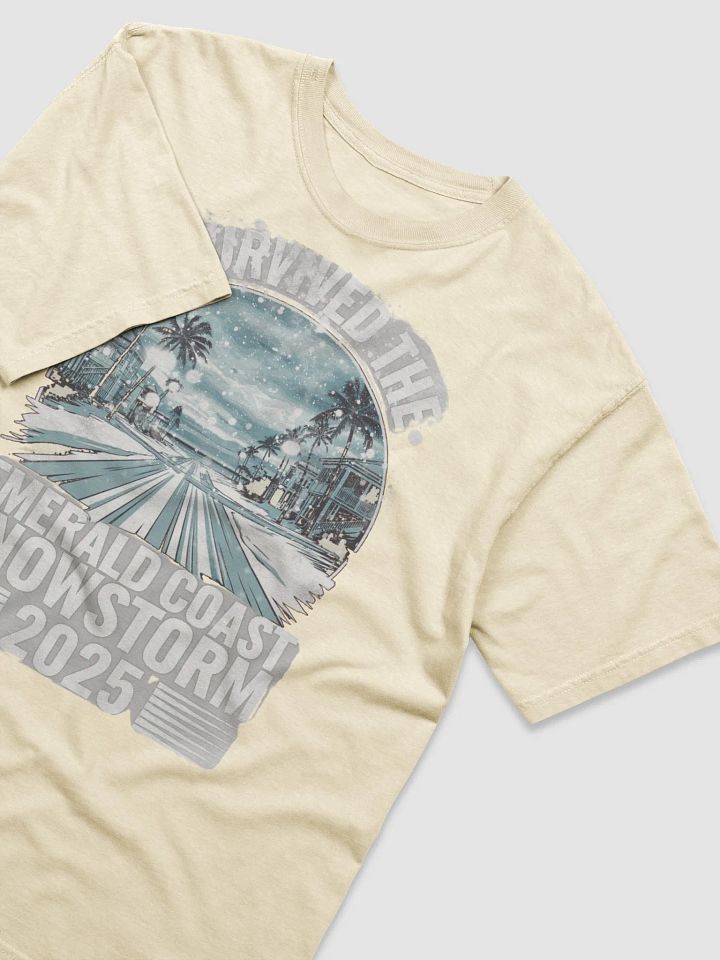 I Survived the Emerald Coast Snowstorm 2025 T-Shirt - Comfort Colors product image (2)