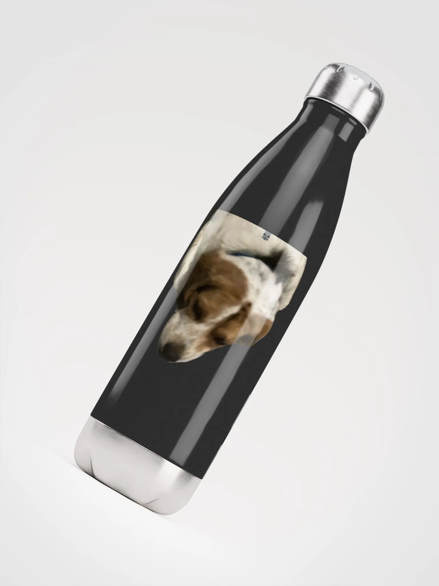 Stainless Water Bottle product image (8)