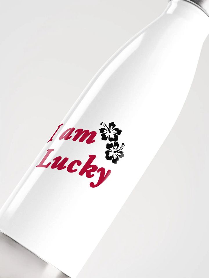Lucky manifestation Stainless Steel Water Bottle product image (1)