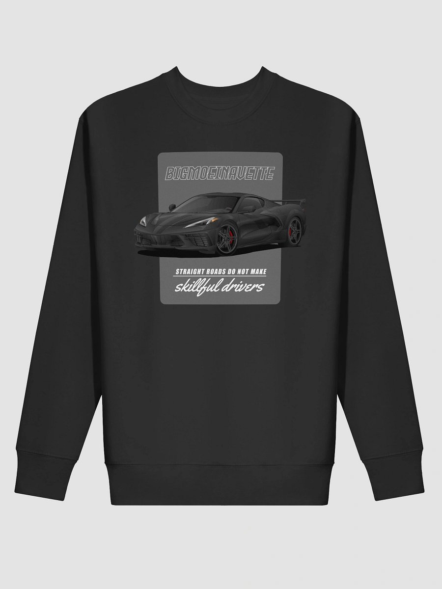 Sweatshirt - bigmoeinavette product image (16)