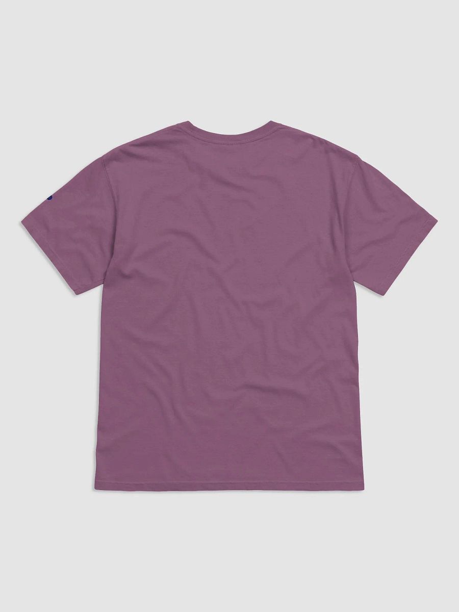 Enchanted Feather Divine T-Shirt product image (16)