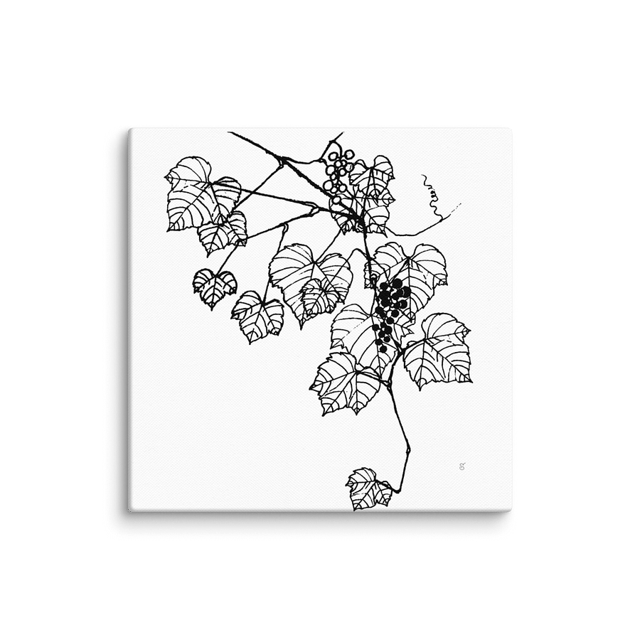 Grapevine Dreams Canvas Print - Grape Leaves Stylish product image (1)